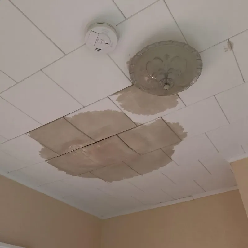 Ceiling Water Damage Repair in Mandan, ND