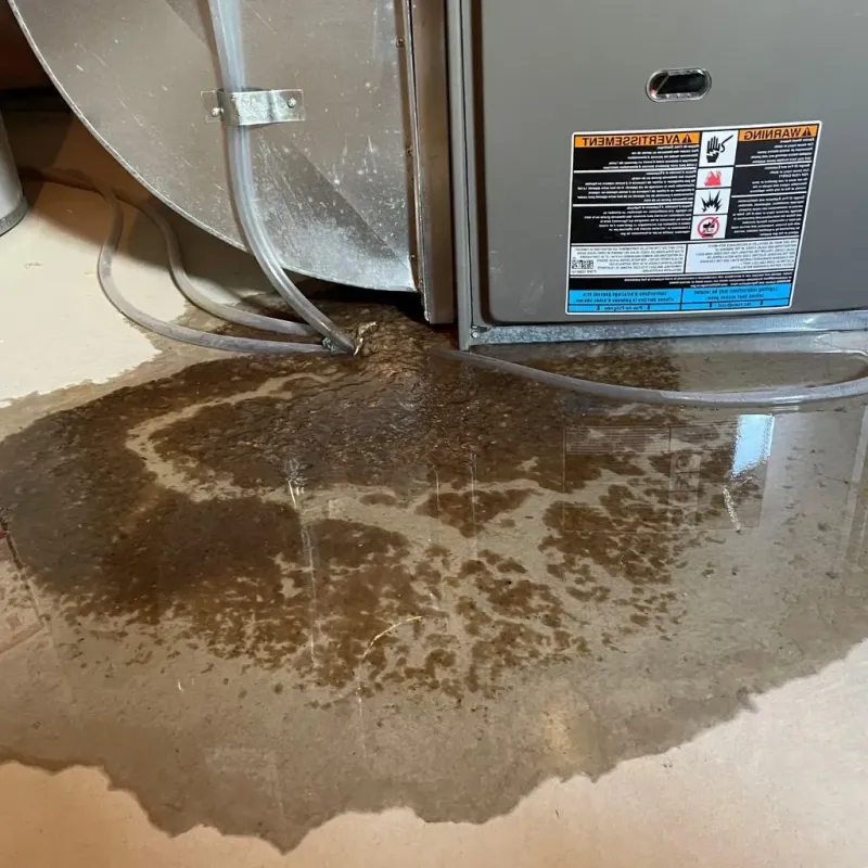 Pipe Burst and Leak Restoration in Mandan, ND